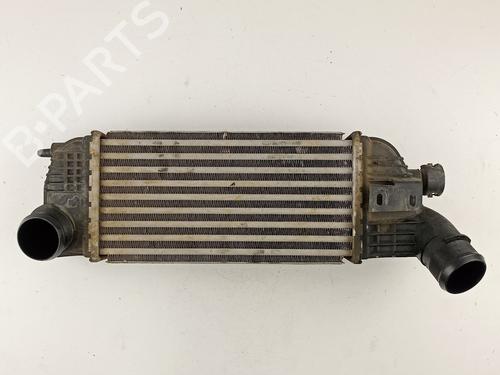 Intercooler CITROËN C5 III (RD_)  | BP28678918M30 