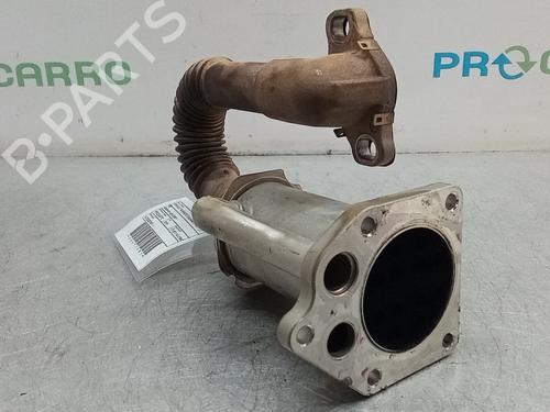 Egr RENAULT KANGOO Express (FW0/1_) 1.5 dCi 70 (FW0A, KW0V) | BP9798857M69 