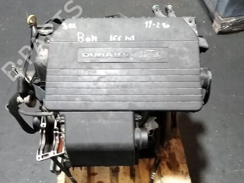 Used Engine FORD FIESTA V (JH_, JD_) [2001-2014]  10508485