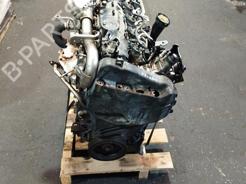 Engine RENAULT KANGOO Express (FW0/1_) 1.5 dCi 75 (FW07, FW10, FW04) | BP18061979M1 