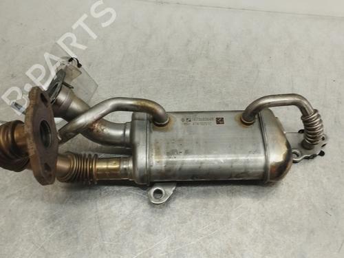 Egr RENAULT KANGOO Express (FW0/1_) 1.5 dCi 75 (FW07, FW10, FW04) (75 hp) 10172527