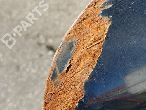 Tailgate MINI MINI (R50, R53)  | BP9803058C6