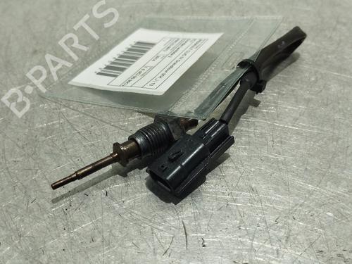 Elektronische sonde RENAULT CLIO IV Grandtour (KH_) 1.5 dCi 90 (KHN3, KHN4) (90 hp) 17734682