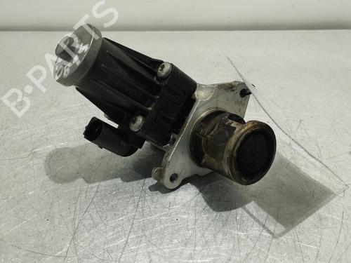 Used Egr FIAT DOBLO Cargo (263_) 1.3 D Multijet (90 hp) 24663790