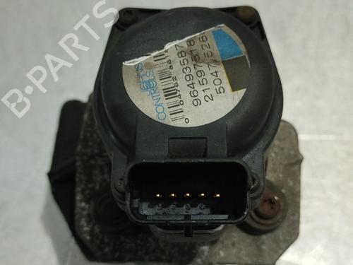 Egr PEUGEOT 307 (3A/C) 1.6 HDi 110 | BP31254609M69