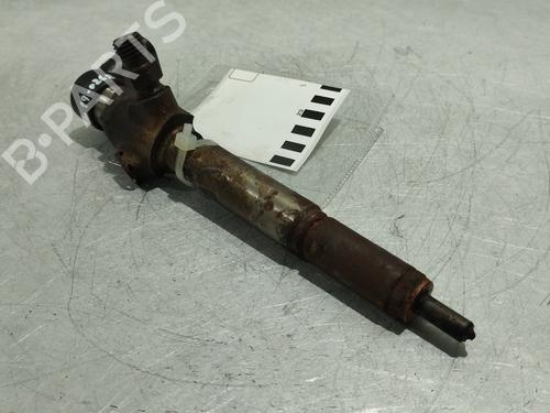 Spreder / Dyse RENAULT MEGANE II (BM0/1_, CM0/1_) [2001-2012]  30936916