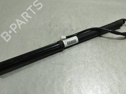 Used Tailgate lift support TOYOTA RAV 4 V (_A5_, _H5_) 2.5 Hybrid AWD (AXAH54) (178 hp) 31254919