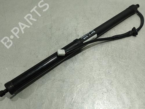 Used Tailgate lift support TOYOTA RAV 4 V (_A5_, _H5_) 2.5 Hybrid AWD (AXAH54) (178 hp) 31254920