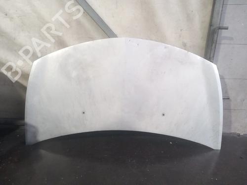 Capot RENAULT CLIO III Hatchback Van (SB_, SR_) 1.5 dCi (86 hp) 31886801