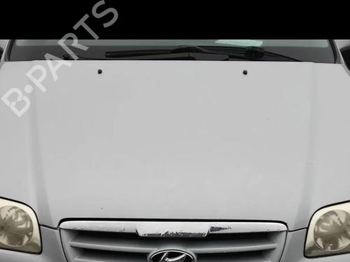 Used Hood Hood HYUNDAI TRAJET (FO) 2.0 CRDi (113 hp) 34288669 34288669