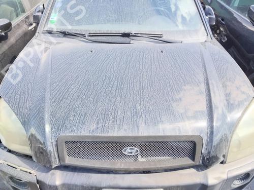 hood-hyundai-tucson-jm-2004-2005-2006-2007-2008-2009-2010-2011-2012-2013-2014-2015-2016-2017-2018-2019-34368407 main image