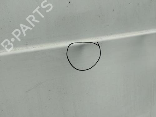Left rear door RENAULT KANGOO Express (FW0/1_) 1.5 dCi 75 (FW07, FW10, FW04) | BP29811903C4 