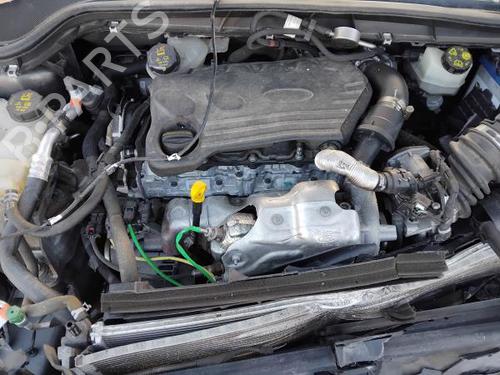 Cambio FORD FOCUS IV Turnier (HP) 1.5 EcoBlue (120 hp) 30736029