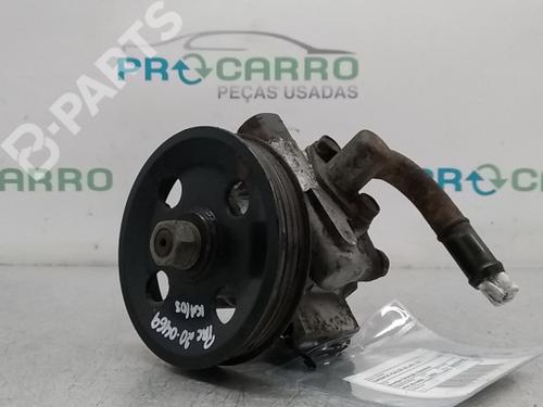 Styring servopumpe DAEWOO KALOS (KLAS) 1.2 (72 hp) 9789517