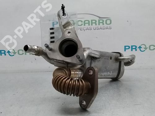 Egr RENAULT KANGOO / GRAND KANGOO II (KW0/1_) 1.5 dCi 90 (KW05, KW08, KW0G, KW11) | BP9790056M69