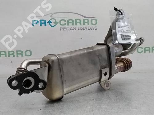 Egr RENAULT KANGOO / GRAND KANGOO II (KW0/1_) 1.5 dCi 90 (KW05, KW08, KW0G, KW11) | BP9790056M69