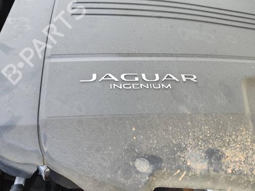 Right front window switch JAGUAR F-TYPE Coupe (X152) | BP19278487I26 - Image 14