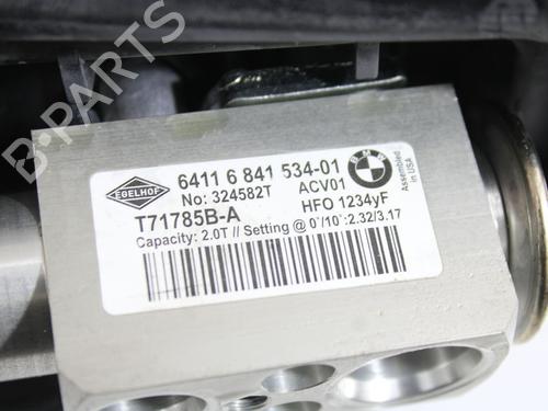Air conditioning evaporator BMW X6 (F16, F86)  | BP17805975M109 