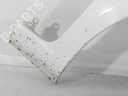 Right front fenders FIAT PUNTO (199_) 1.4 (199AXB1A, 199BXB1A, 199BXB11, 199AXB11) | BP30194141C42