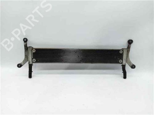 Oliekøler VW TOUAREG (7LA, 7L6, 7L7) 3.0 V6 TDI | BP14174616M33 