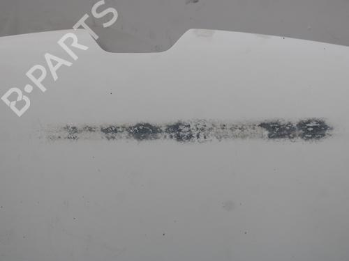 Hood RENAULT KANGOO Express (FW0/1_) 1.5 dCi 75 (FW07, FW10, FW04) | BP24666334C1 