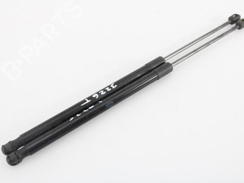 Used Tailgate lift support LAND ROVER FREELANDER 2 (L359) 2.2 TD4 4x4 (150 hp) 14176040