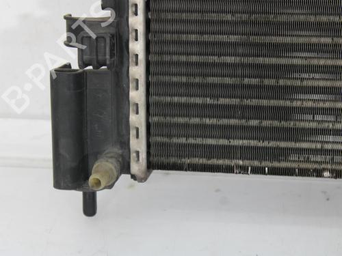 Water radiator FIAT PUNTO (199_) 1.4 (199AXB1A, 199BXB1A, 199BXB11, 199AXB11) | BP30194139M31 