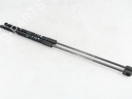 Used Tailgate lift support LAND ROVER RANGE ROVER EVOQUE (L538) 2.2 D (150 hp) 25901305
