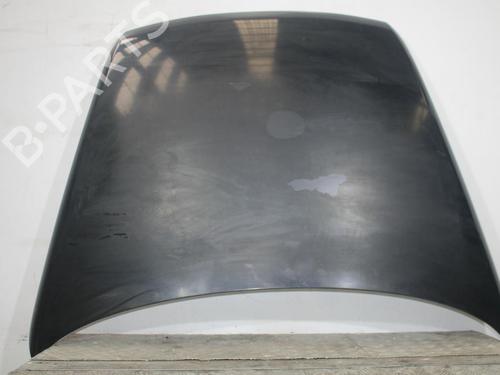 Used Hood VW TOUAREG (7LA, 7L6, 7L7) 5.0 V10 TDI (313 hp) 30154874