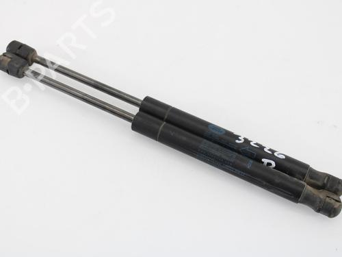Used Hood lift support LAND ROVER FREELANDER 2 (L359) 2.2 TD4 4x4 (150 hp) 14176060