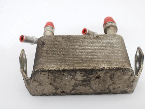 Oliekøler LAND ROVER RANGE ROVER SPORT I (L320) 3.0 D 4x4 | BP15070647M33 