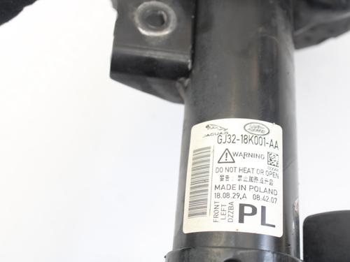 Left front shock absorber LAND ROVER RANGE ROVER EVOQUE (L538) 2.0 D | BP16301468M16 
