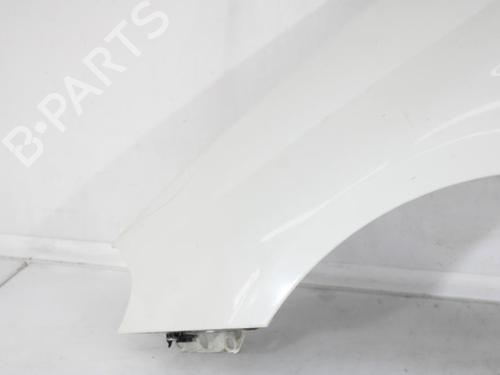 Left front fenders FIAT PUNTO (199_) 1.4 (199AXB1A, 199BXB1A, 199BXB11, 199AXB11) | BP30194142C41