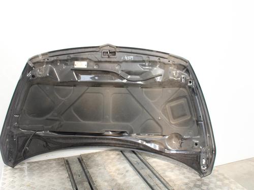Hood MITSUBISHI GRANDIS (NA_W) 2.0 DI-D (NA8W) | BP15617658C1 