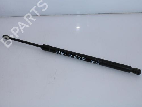 Tailgate lift support MERCEDES-BENZ M-CLASS (W164) ML 420 CDI 4-matic (164.128) BP14177095C138