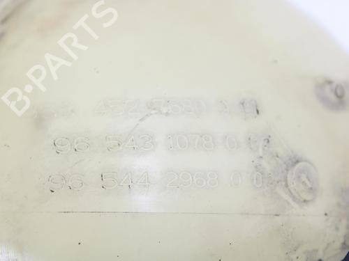 Expansion tank CITROËN C4 Picasso I MPV (UD_) 2.0 HDi 138 | BP13406877C120 