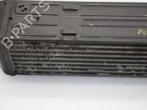 Intercooler LAND ROVER RANGE ROVER SPORT I (L320) 2.7 D 4x4 | BP10125754M30 