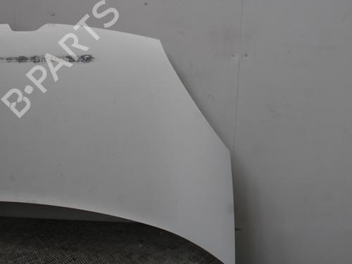 Hood RENAULT KANGOO Express (FW0/1_) 1.5 dCi 75 (FW07, FW10, FW04) | BP24666334C1 