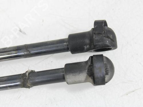 Tailgate lift support FIAT PUNTO (199_) 1.4 (199AXB1A, 199BXB1A, 199BXB11, 199AXB11) | BP29811445C138 