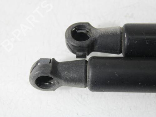 Tailgate lift support FIAT PUNTO (199_) 1.4 (199AXB1A, 199BXB1A, 199BXB11, 199AXB11) | BP29811445C138 