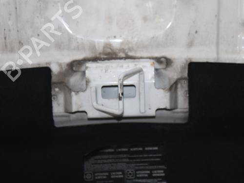 Hood RENAULT KANGOO Express (FW0/1_) 1.5 dCi 75 (FW07, FW10, FW04) | BP24666334C1 