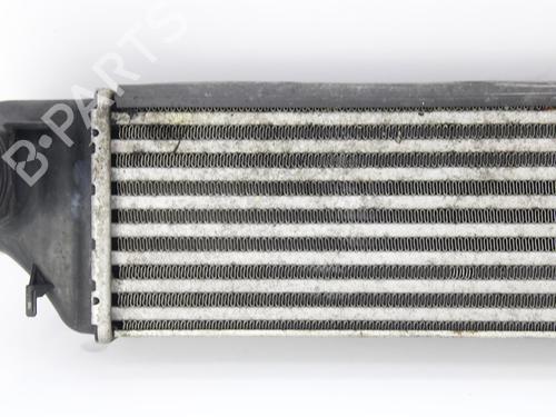 Intercooler BMW X3 (E83) 2.0 d | BP10120939M30 