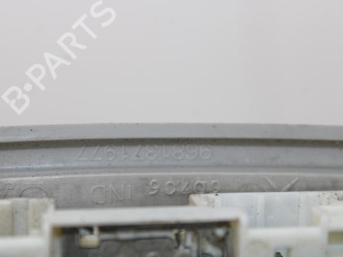 Interior roof light PEUGEOT PARTNER Box Body/MPV 1.6 HDi | BP12268269I8