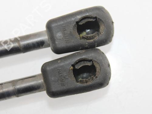 Hood lift support LAND ROVER FREELANDER 2 (L359) 2.2 TD4 4x4 | BP14176060C139 
