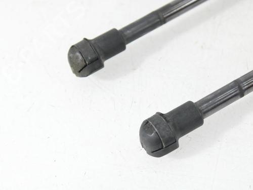 Tailgate lift support AUDI A3 (8P1) 1.9 TDI | BP25443057C138 
