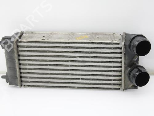 Used Intercooler CITROËN C4 II (NC_) 1.6 HDi 90 (92 hp) 10120489