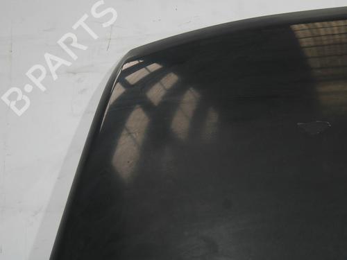 Hood VW TOUAREG (7LA, 7L6, 7L7) 5.0 V10 TDI | BP30154874C1