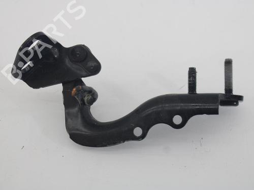 Hinge/Door check strap LAND ROVER RANGE ROVER EVOQUE (L538) 2.0 D | BP16160900C146 