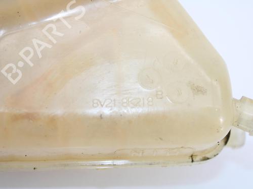 Expansion tank FORD FIESTA VI (CB1, CCN) 1.4 TDCi | BP12268258C120 