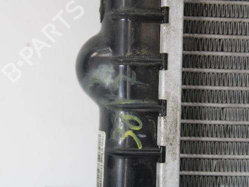 Water radiator VW POLO V (6R1, 6C1)  | BP13809000M31 